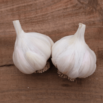 Silver Select Softneck Garlic
