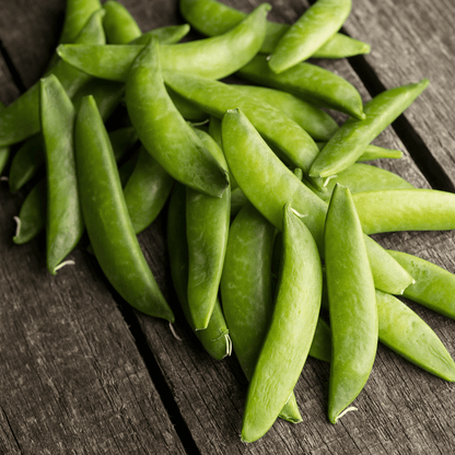 Sugar Snap Pea