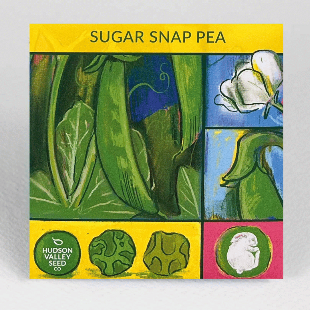 Sugar Snap Pea