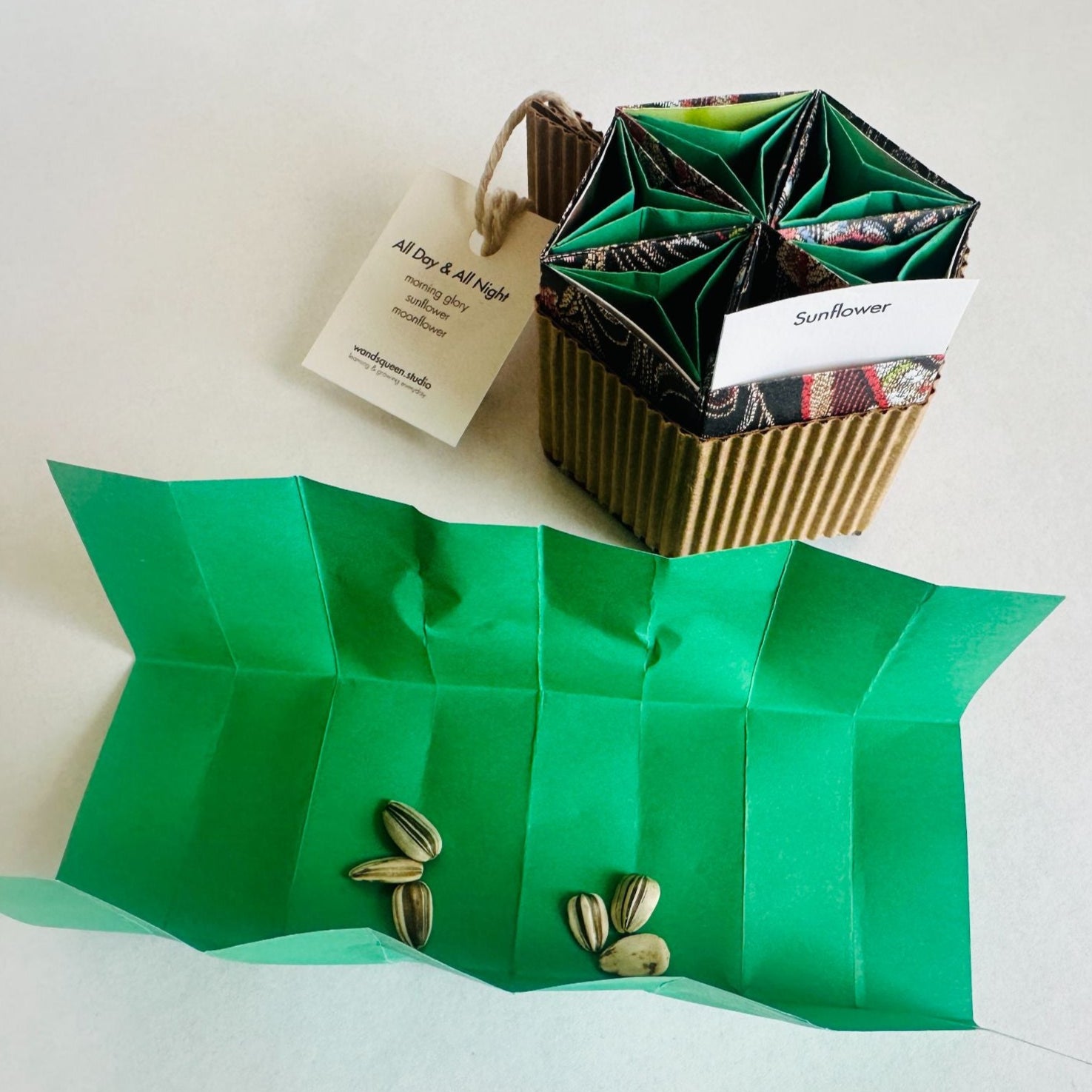 Origami Seed Pack Workshop with Ofelia Mangen