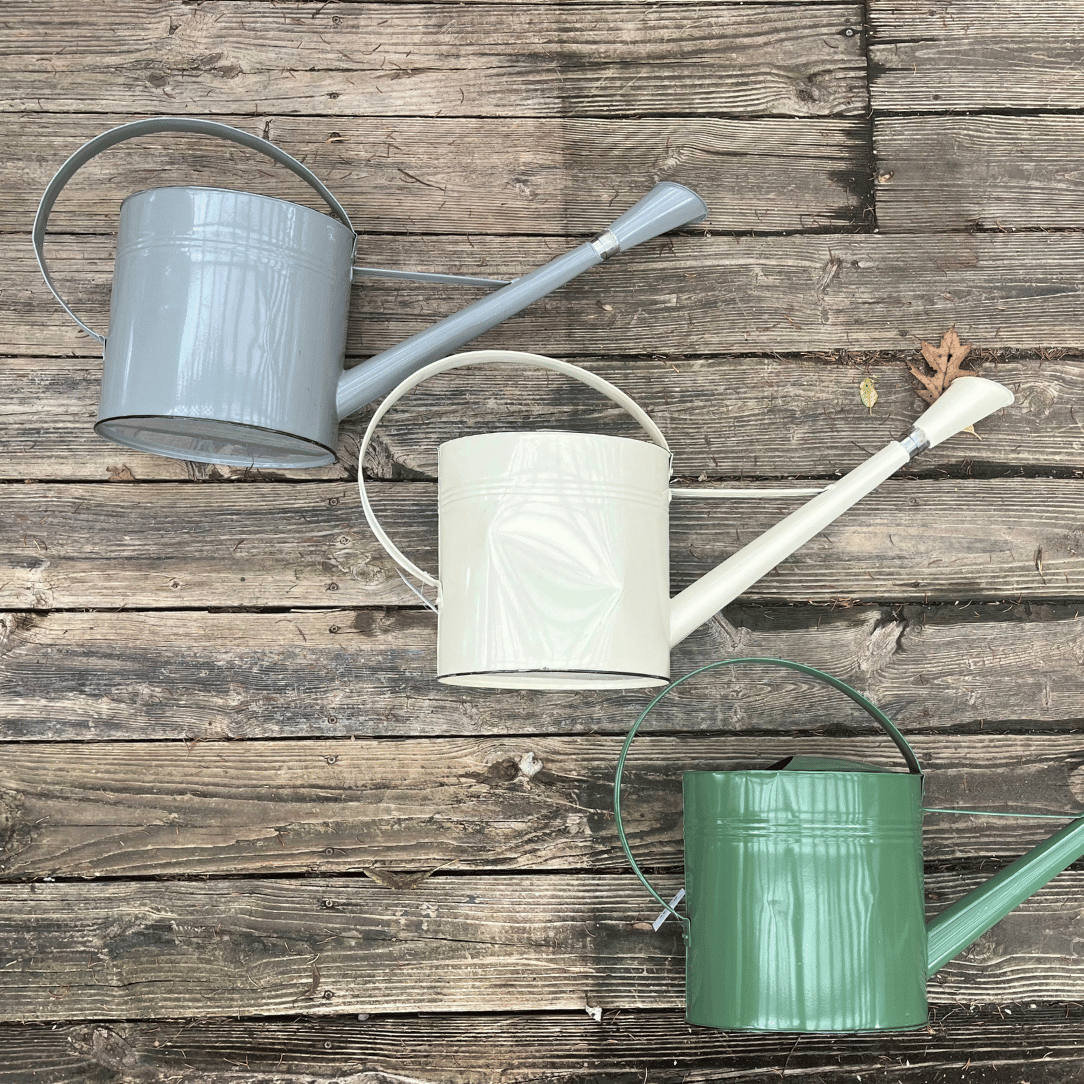 Watering Can Metal