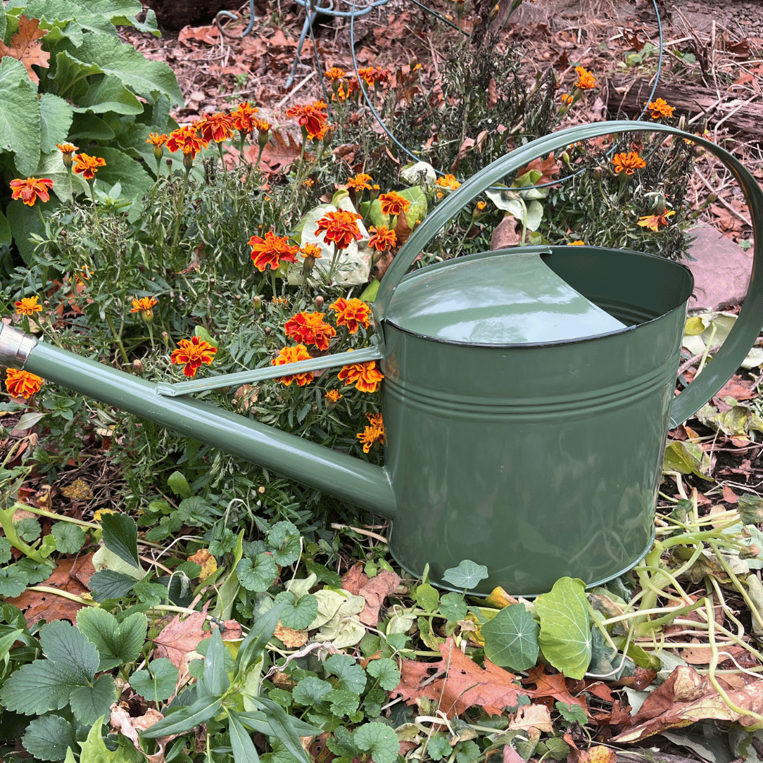 Watering Can Metal