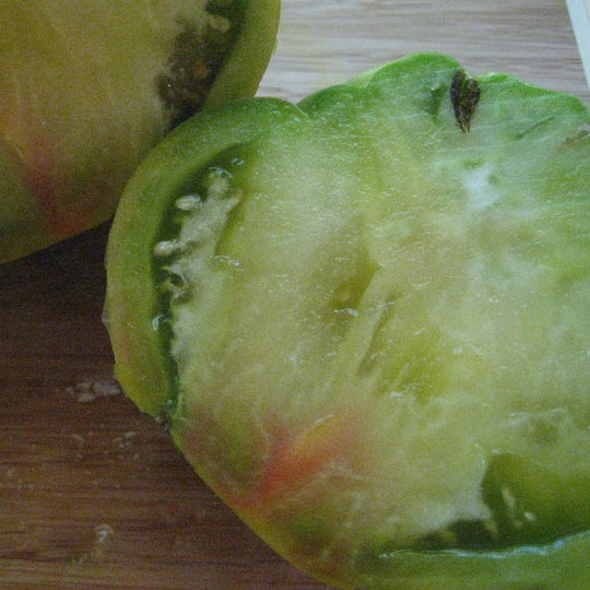 Aunt Ruby's German Green Tomato Seedlings