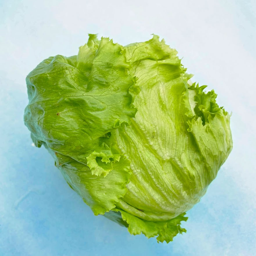 Crispino Lettuce