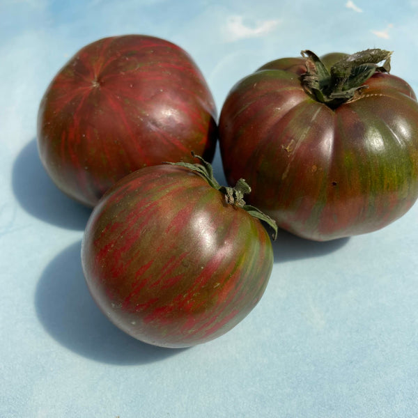 Berkeley Pink Tie Dye Tomato