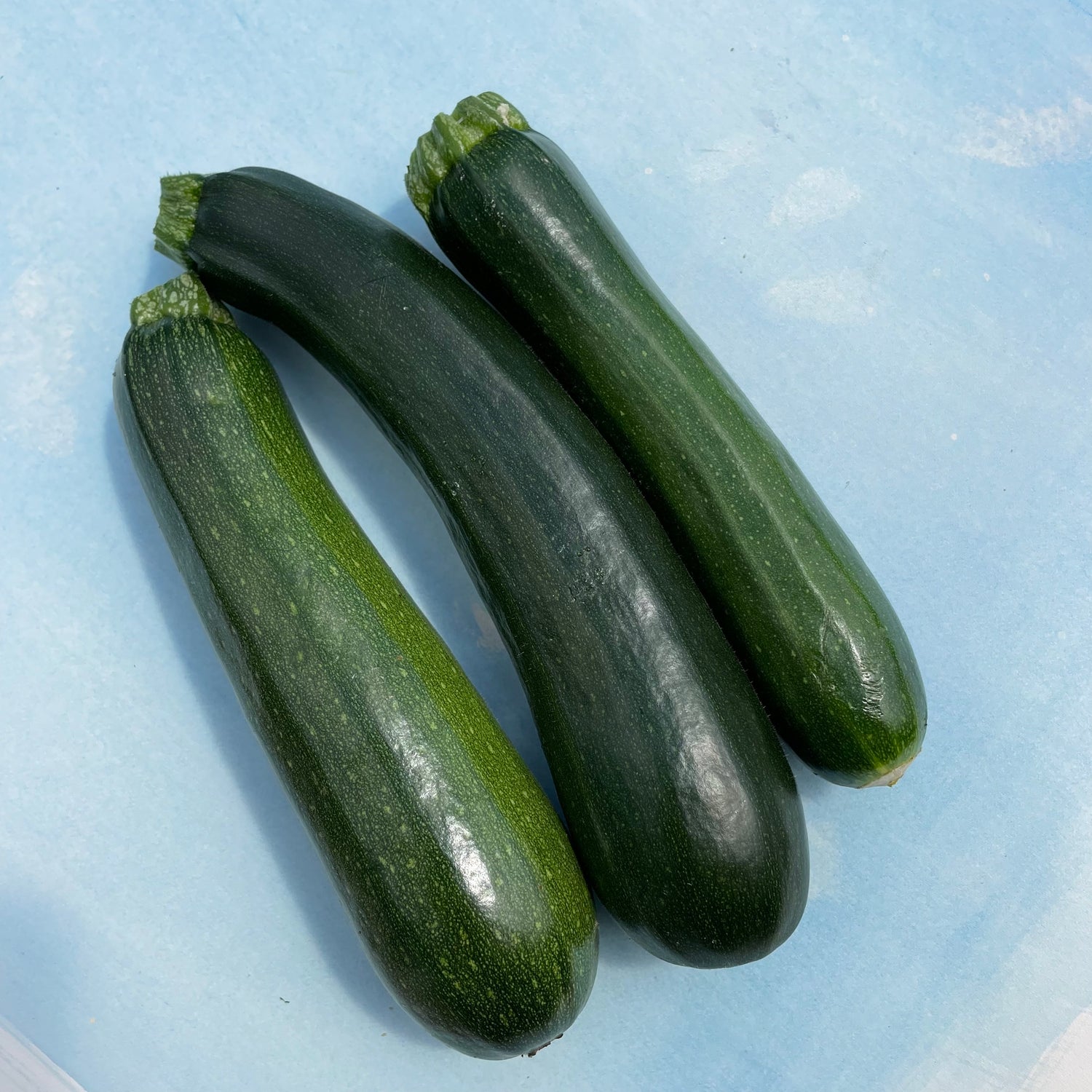 Dark Star Zucchini