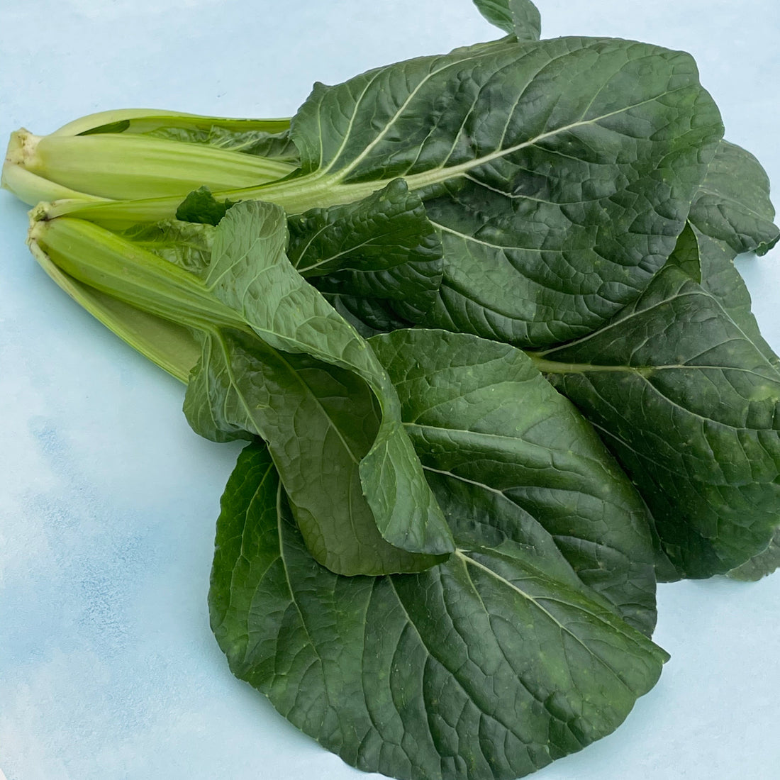 Tatsoi