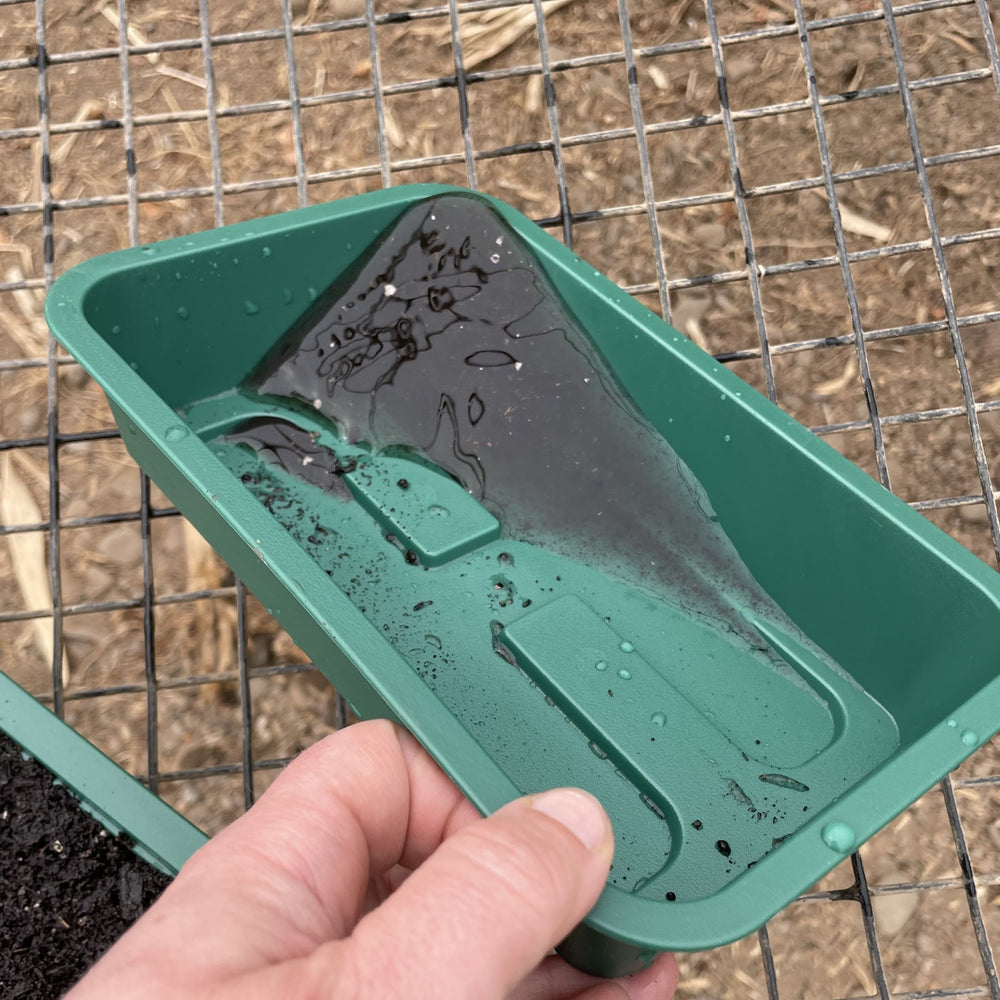 Windowsill Self-Watering Microgreens Tray