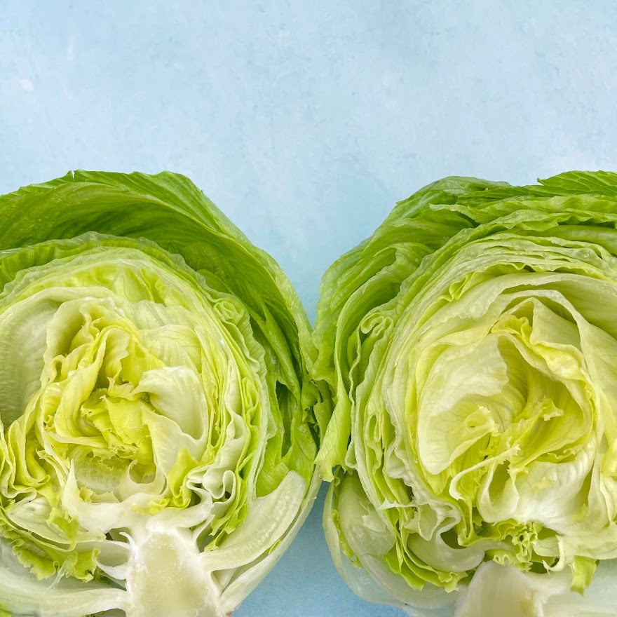 Crispino Lettuce