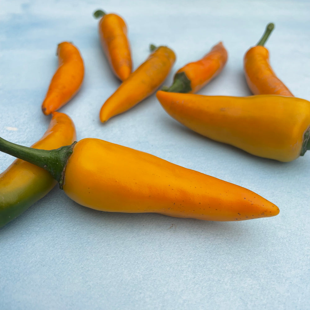 Bulgarian Carrot Chile Pepper