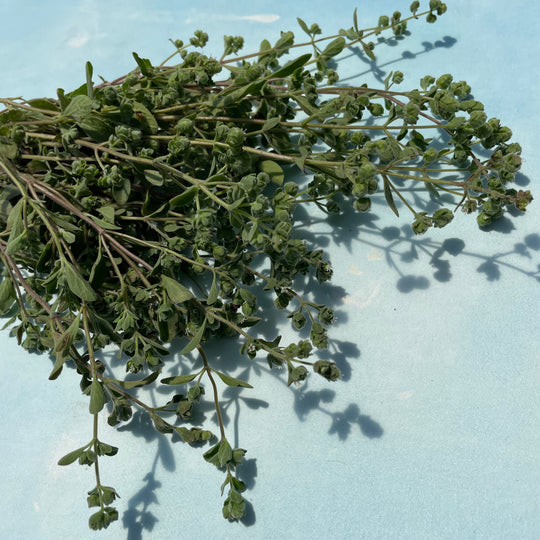 Marjoram vendor-unknown