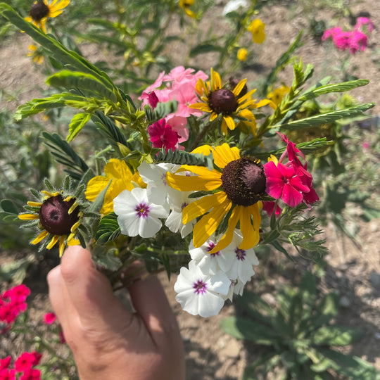 For the Birds Flower Mix vendor-unknown