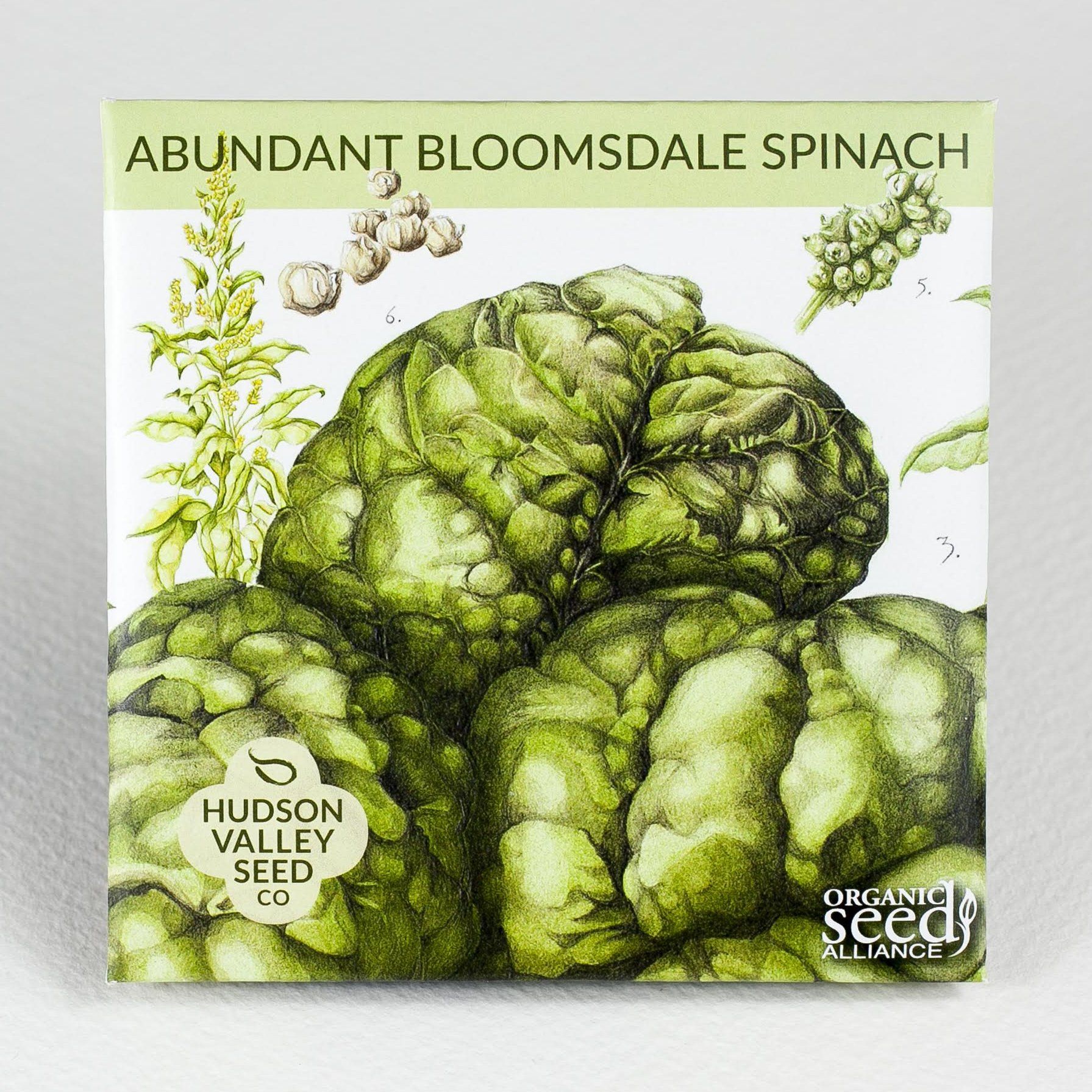 Abundant Bloomsdale Spinach vendor-unknown