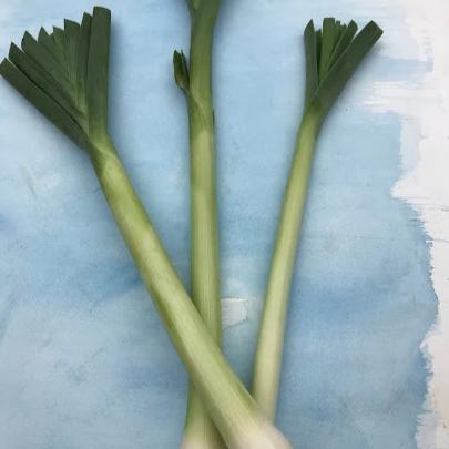 American Flag Leek vendor-unknown