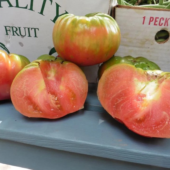 Aubry's Special Pinks Tomato