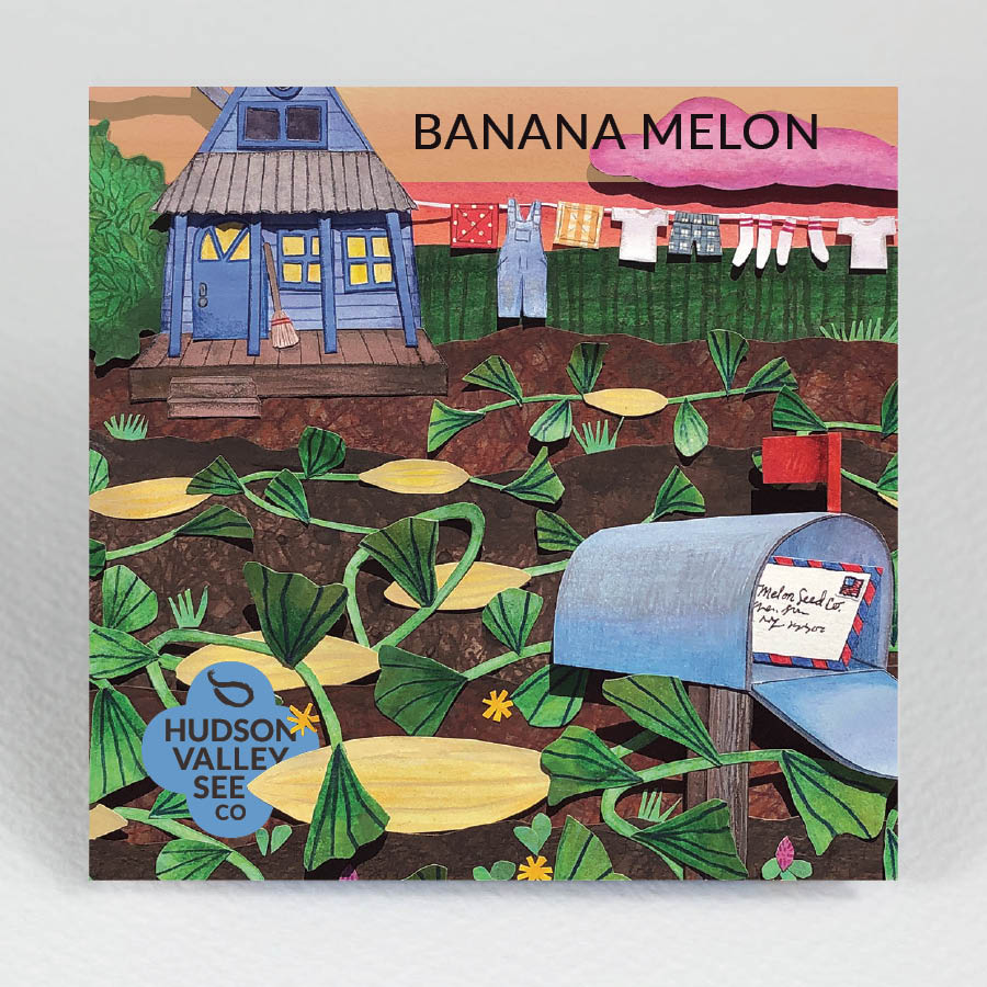 Banana Melon