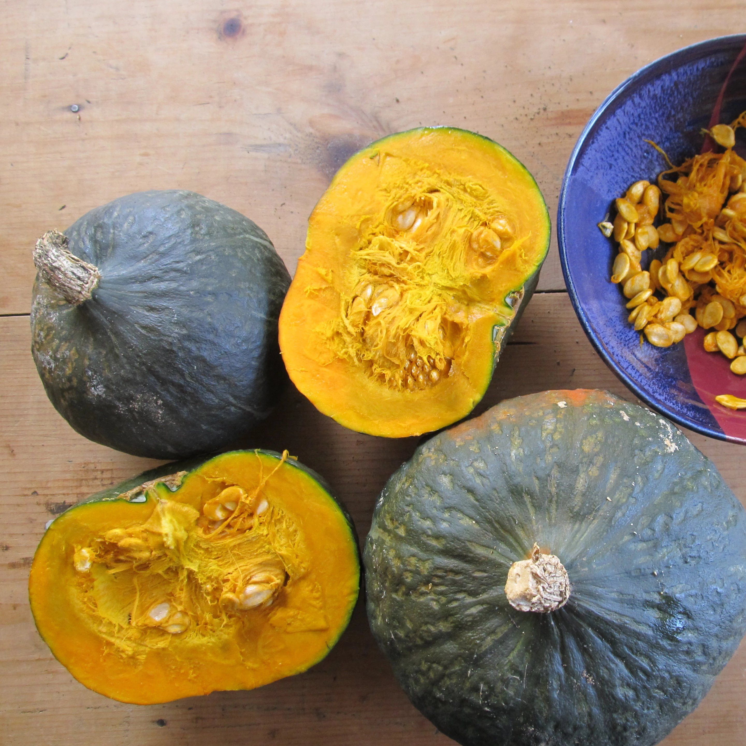 Black Forest Kabocha Squash vendor-unknown