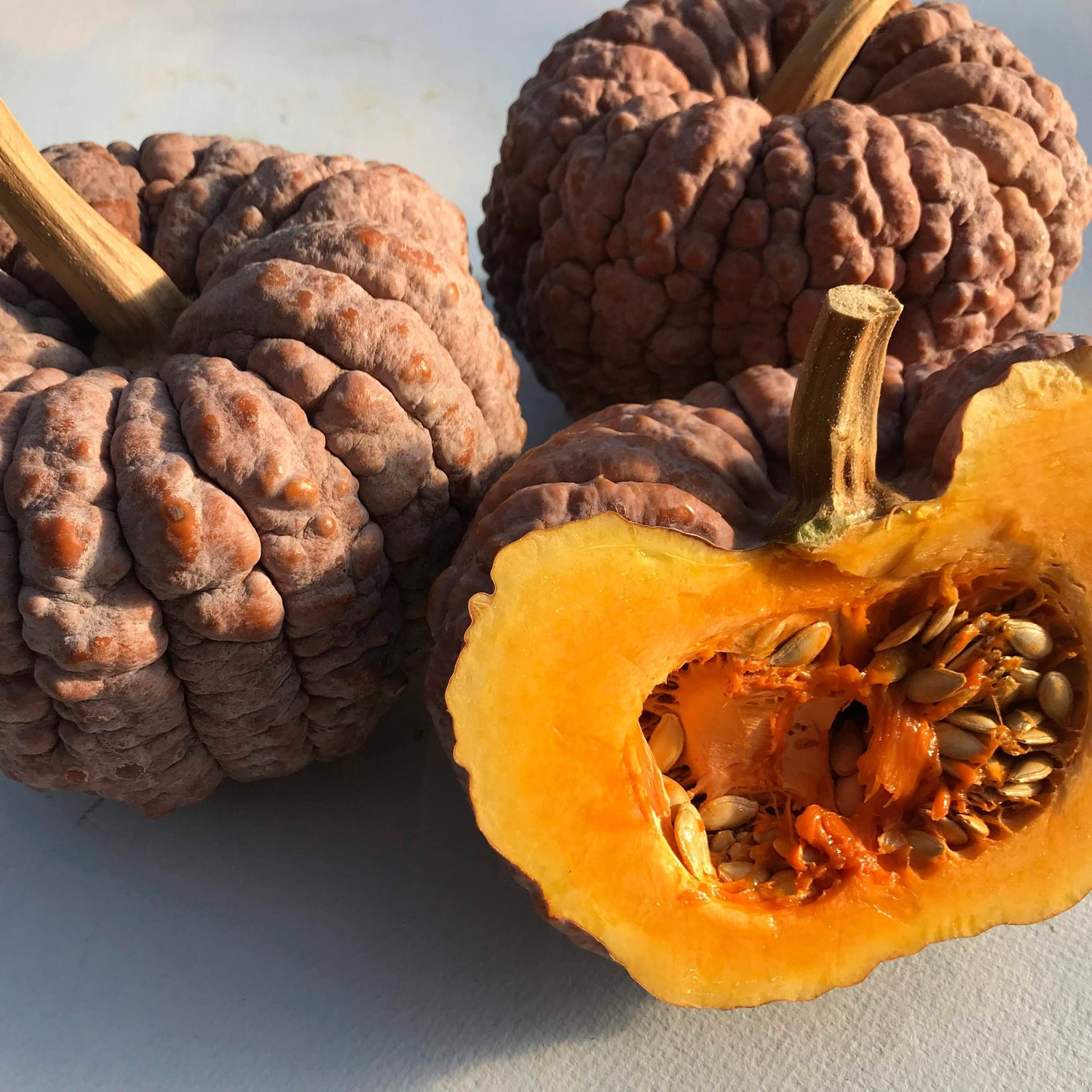 Black Futsu Squash vendor-unknown