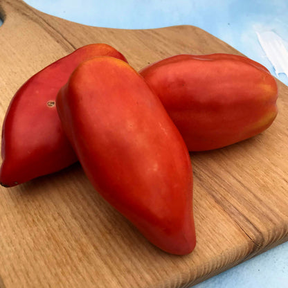 Blue Beech Tomato vendor-unknown