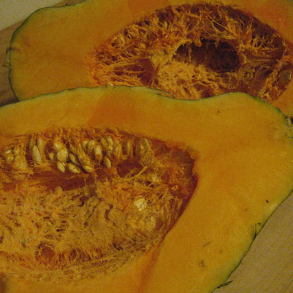 Blue Hubbard Squash vendor-unknown