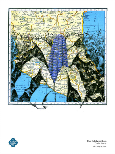 Blue Jade Dwarf Sweet Corn Fine Art Poster