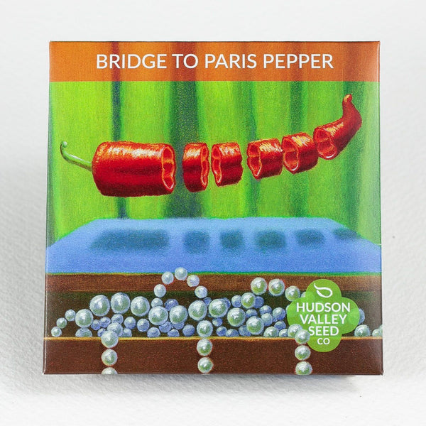 Bridge to Paris Pepper vendor-unknown