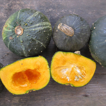 Burgess Buttercup Squash vendor-unknown