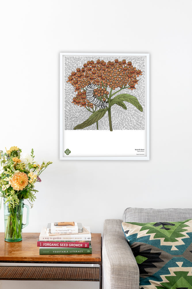 Butterfly Weed Fine Art Poster