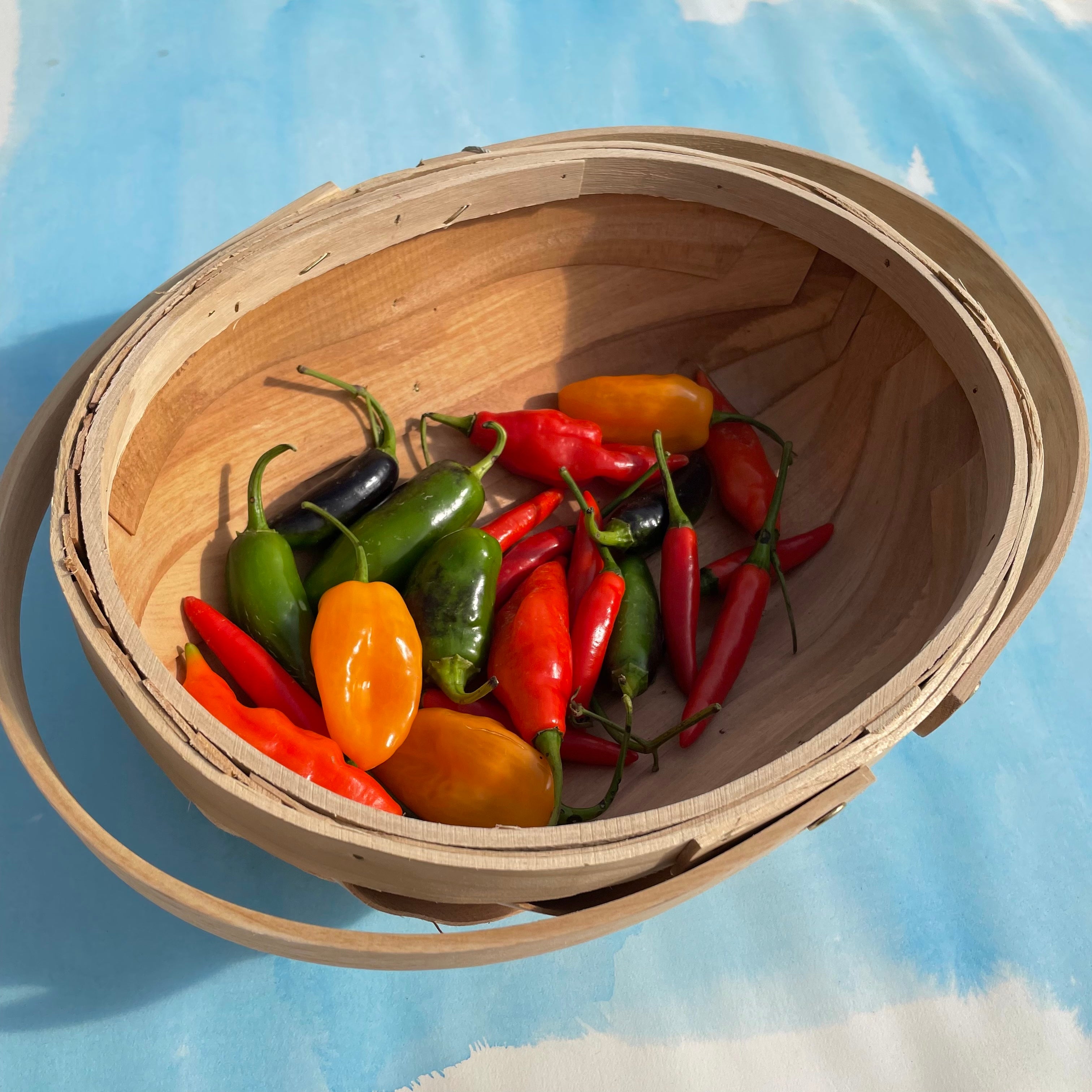 Small Wooden Harvest Trug