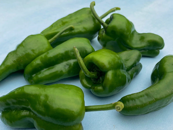 Padron Hot Pepper