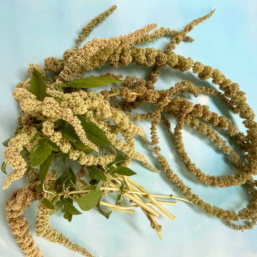 Emerald Tassels Amaranth