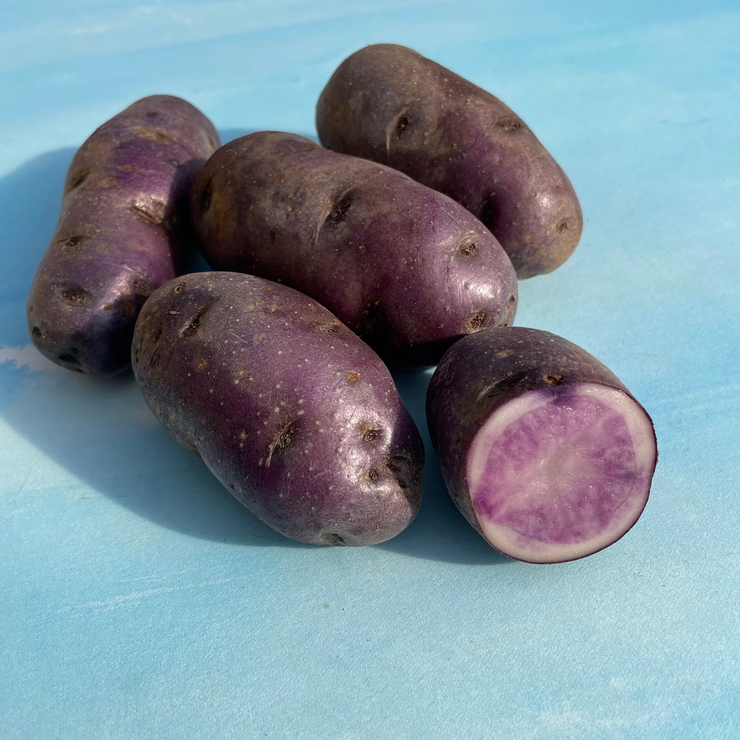 All Blue Potato