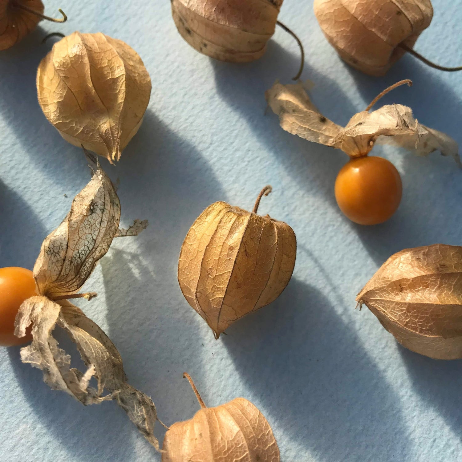 Cape Gooseberries vendor-unknown