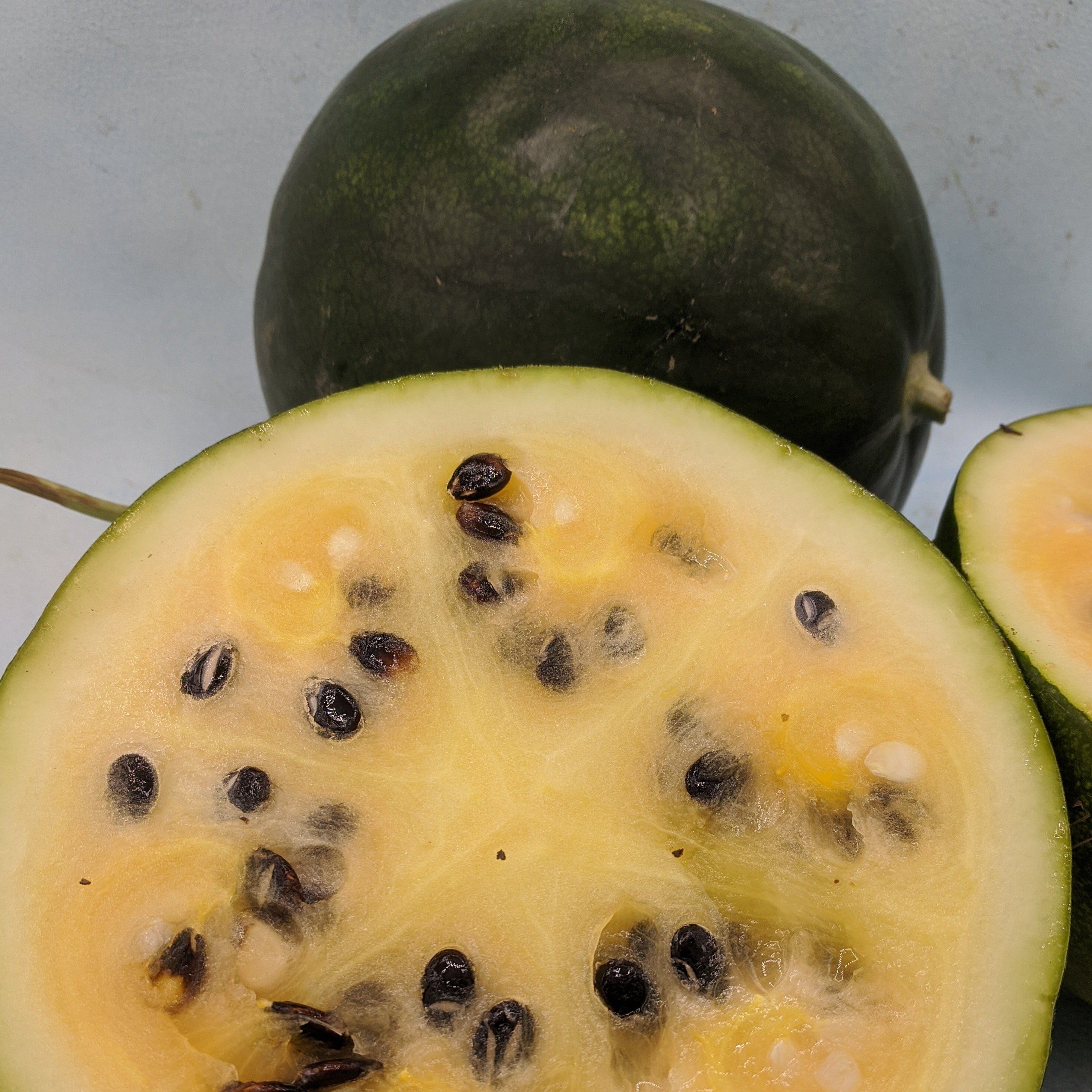 Cekirdegi Oyali Watermelon vendor-unknown