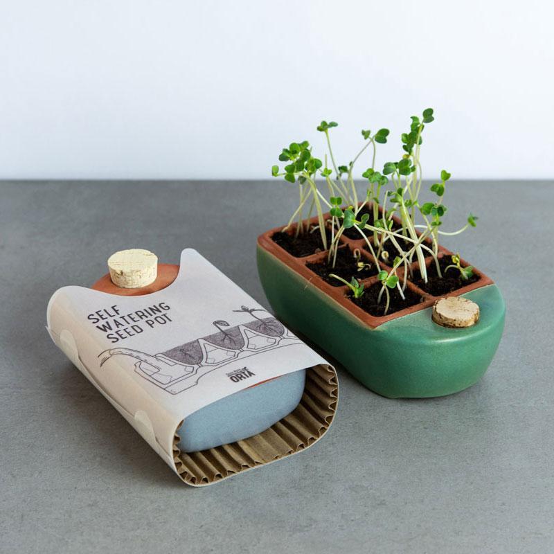 Ceramic Self Watering Seed Starting Tray - Small vendor-unknown