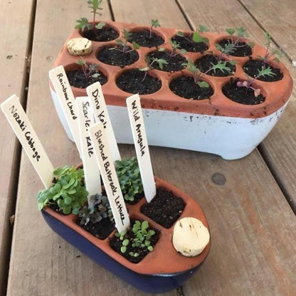 Ceramic Self Watering Seed Starting Tray - Small vendor-unknown