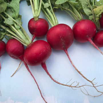 Radishes