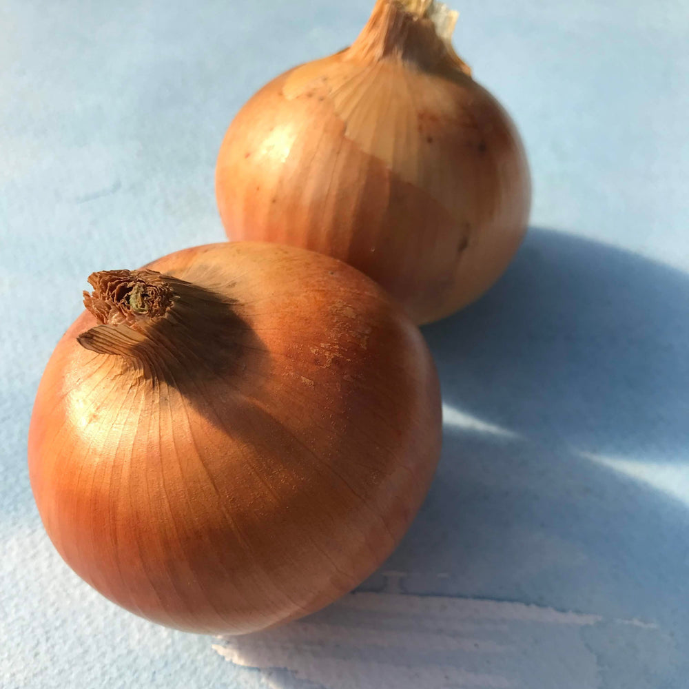 Clear Dawn Onion vendor-unknown