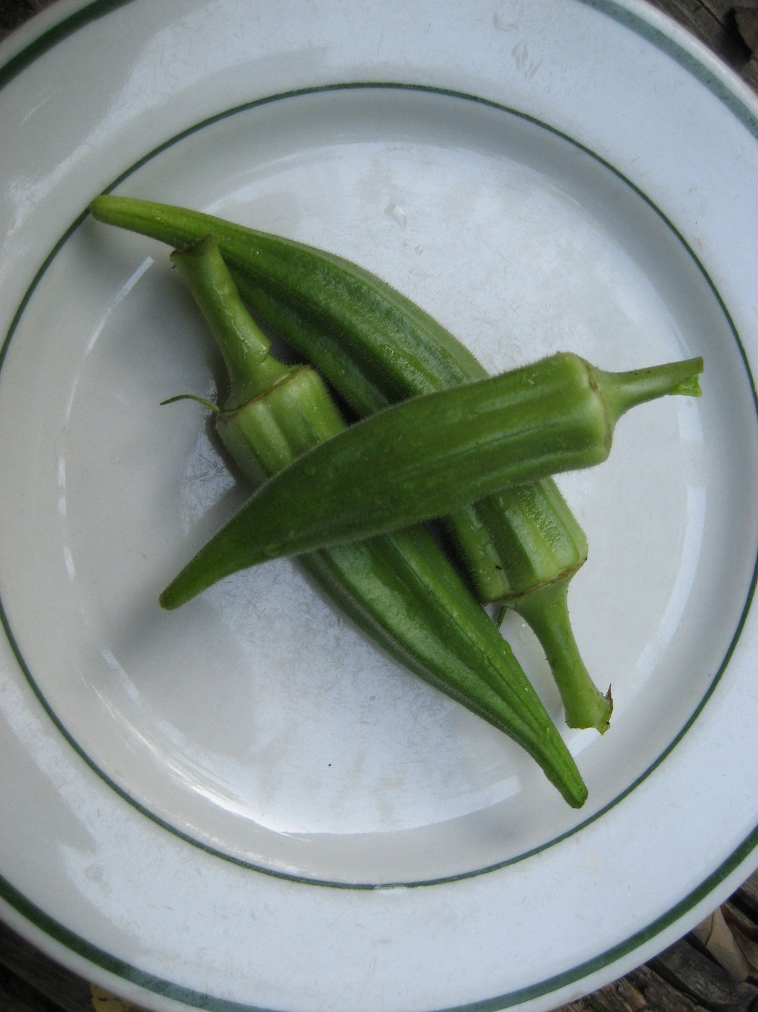 Clemson Spineless Okra vendor-unknown