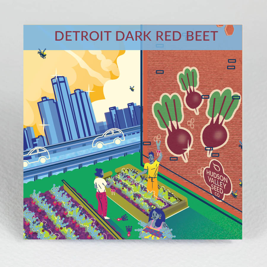 Detroit Dark Red Beet