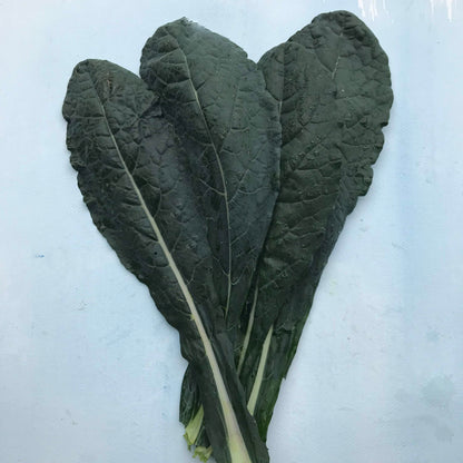 Dino Kale