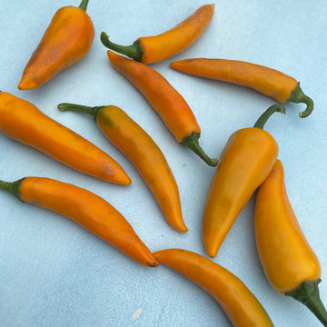 Hot Peppers