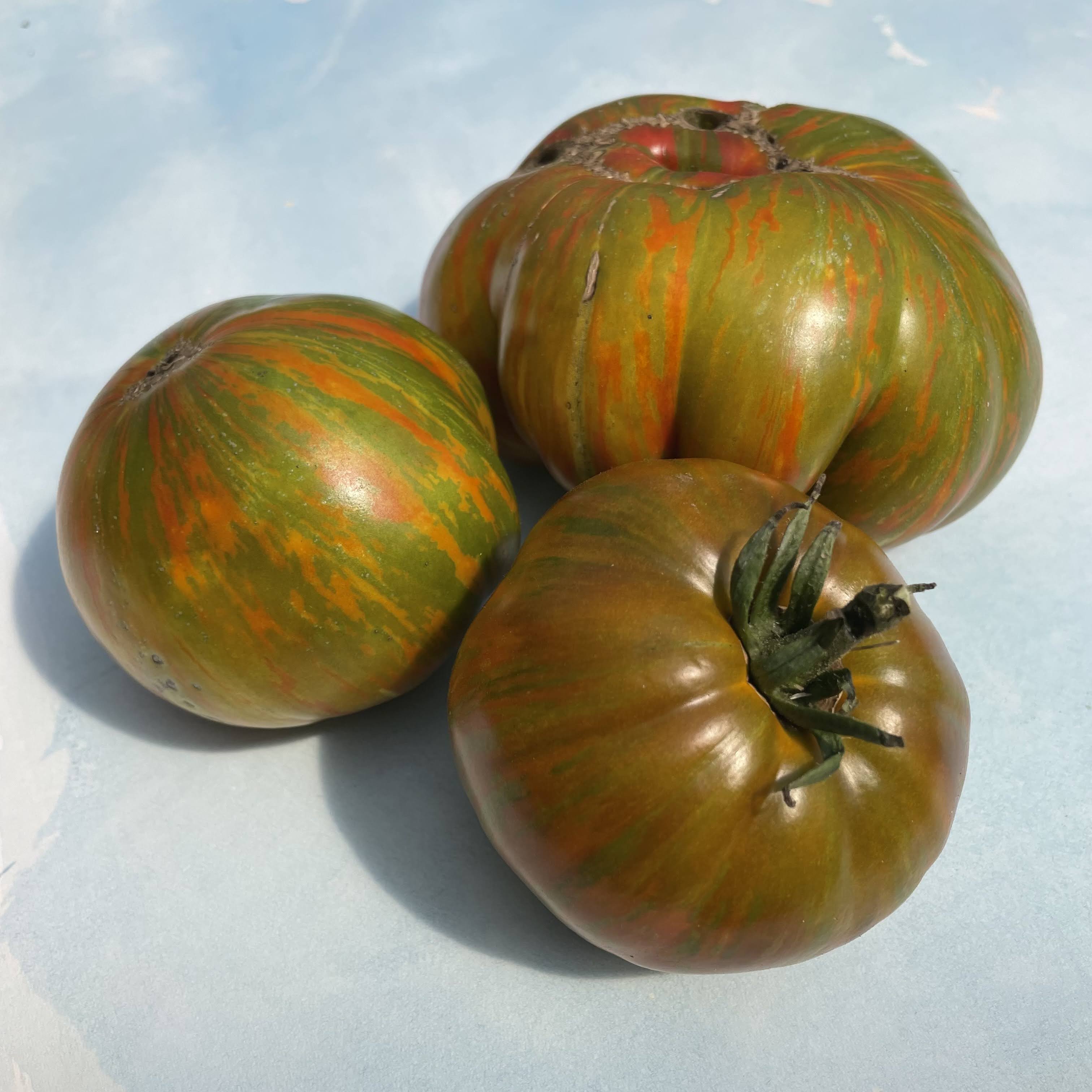 Berkeley Green Tie Dye Tomato