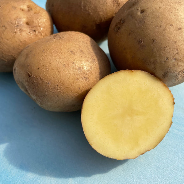Keuka Gold Potato (Organic)