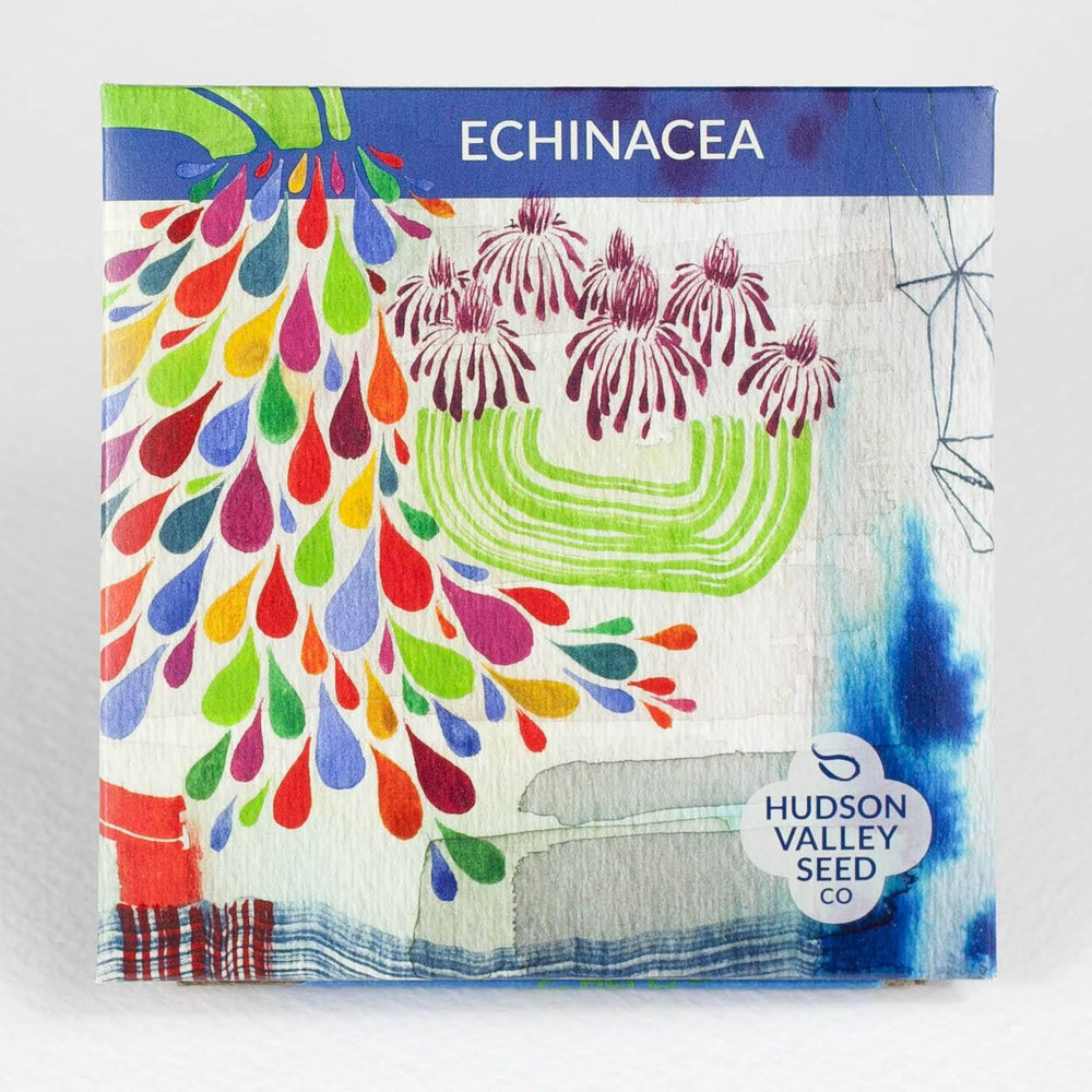 Echinacea vendor-unknown