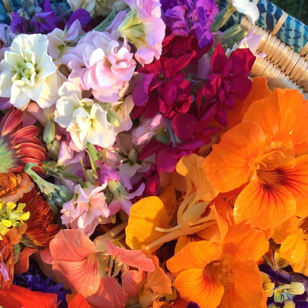 Edible Flower Mix vendor-unknown