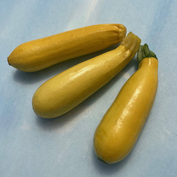 Golden Zucchini