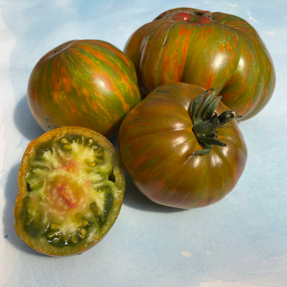 Berkeley Green Tie Dye Tomato
