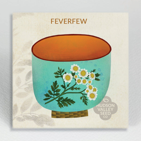 Feverfew vendor-unknown