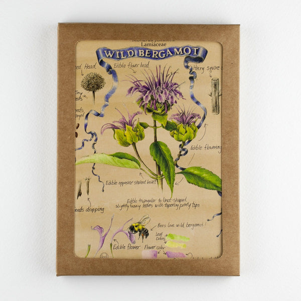 Foraging Greeting Card Collection vendor-unknown